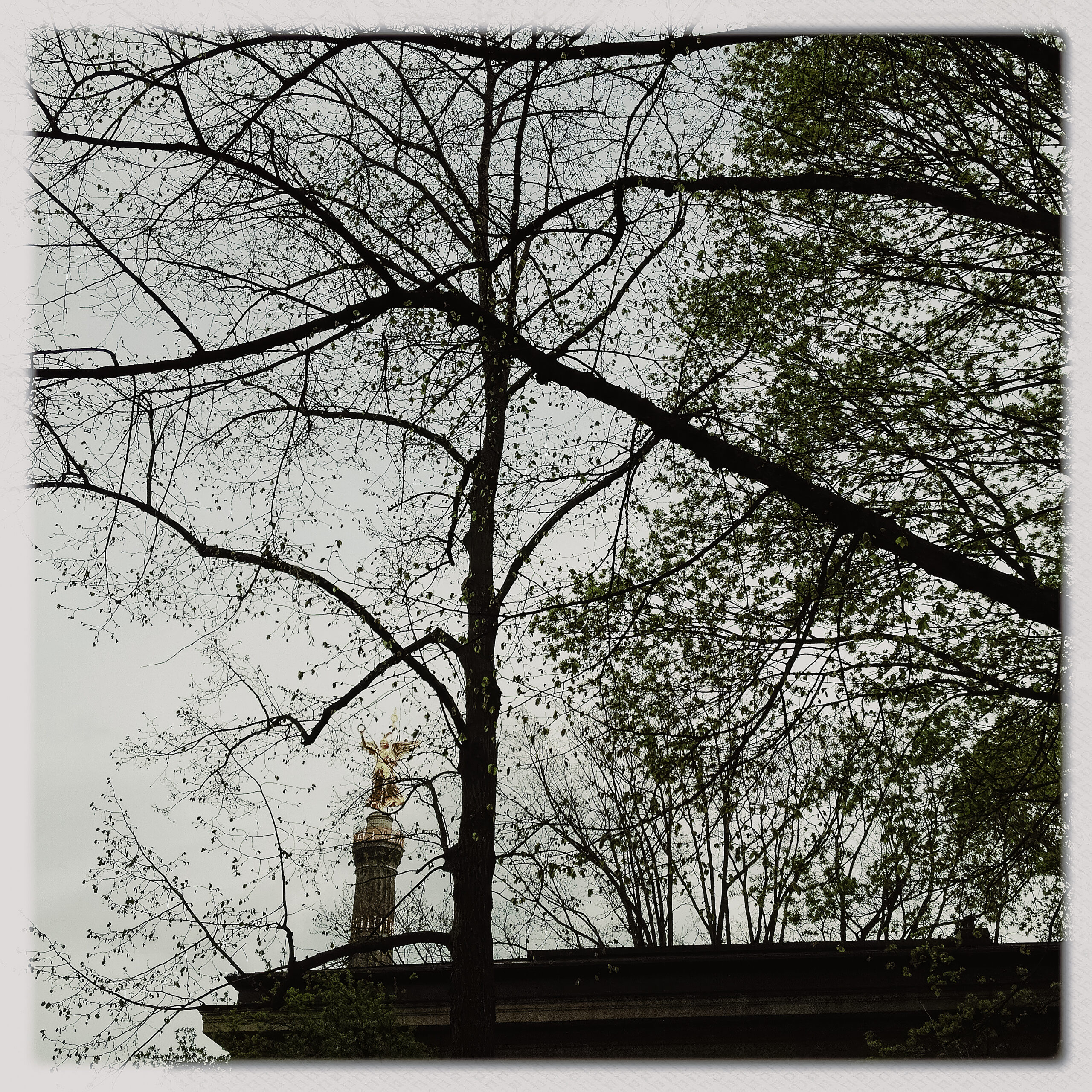 21-S'élever3000px-300dpi-high fidelity v2-3000w copy