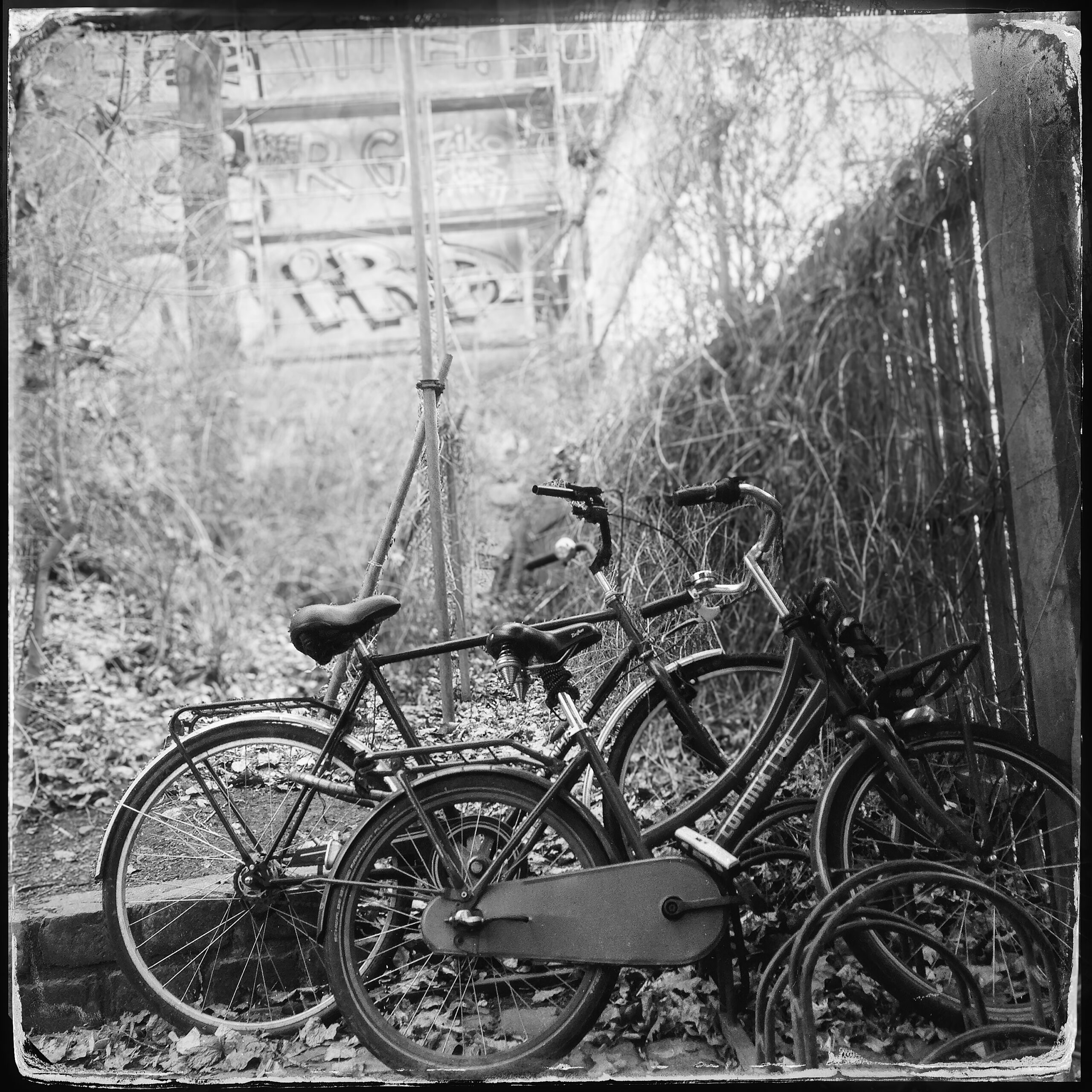 23-Trompes de la renaissance3000px-300dpi-high fidelity v2-3000w copy