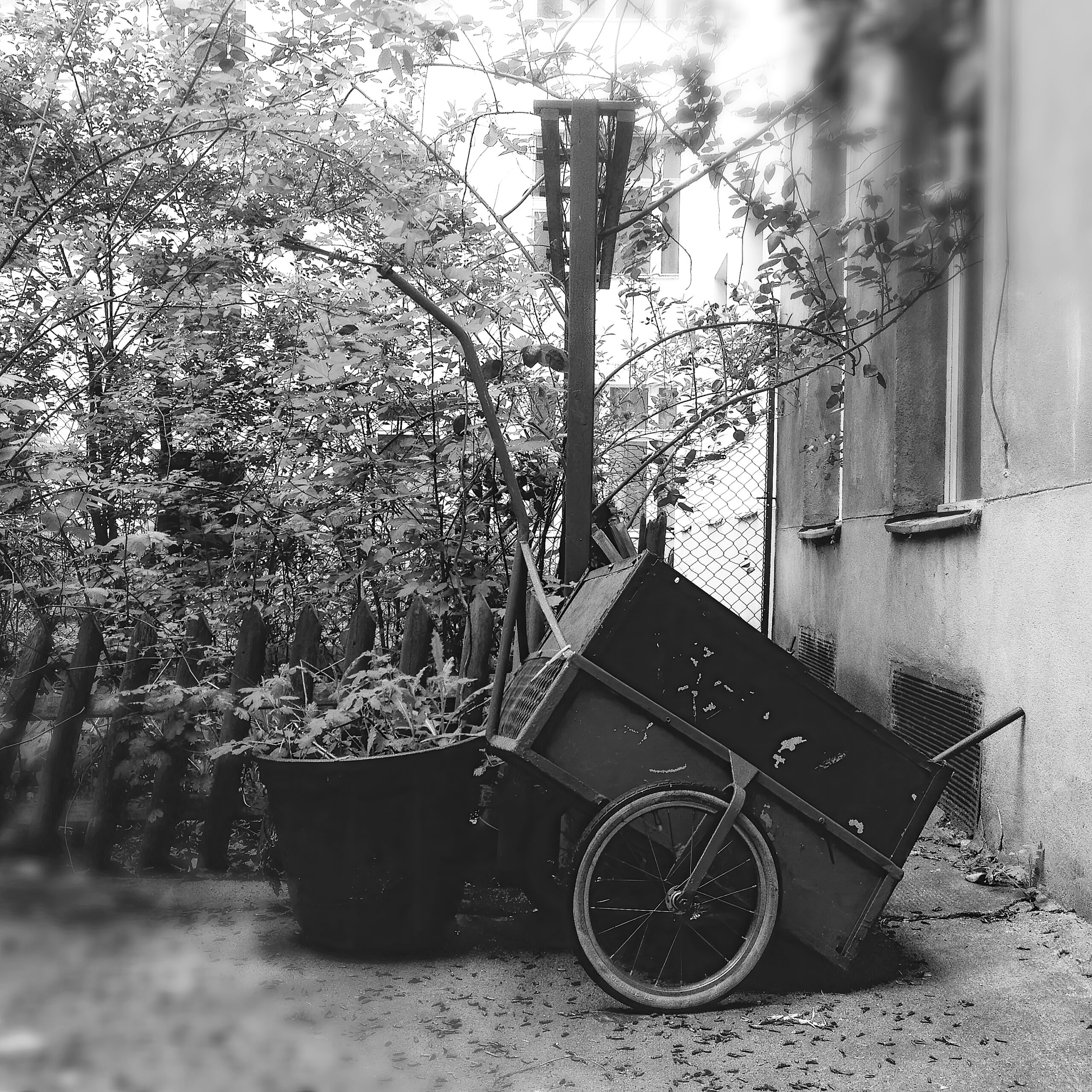 28-Barcasse-3000px-300dpi-high fidelity v2-3000h copy